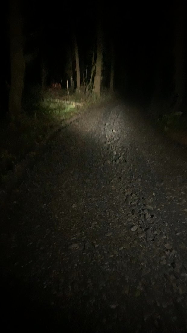S2: Winlock WA Human Remains Found