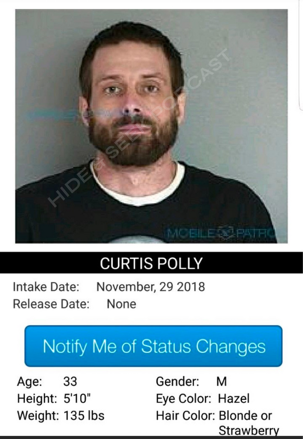 S3 Curtis Polly (Pocket)
