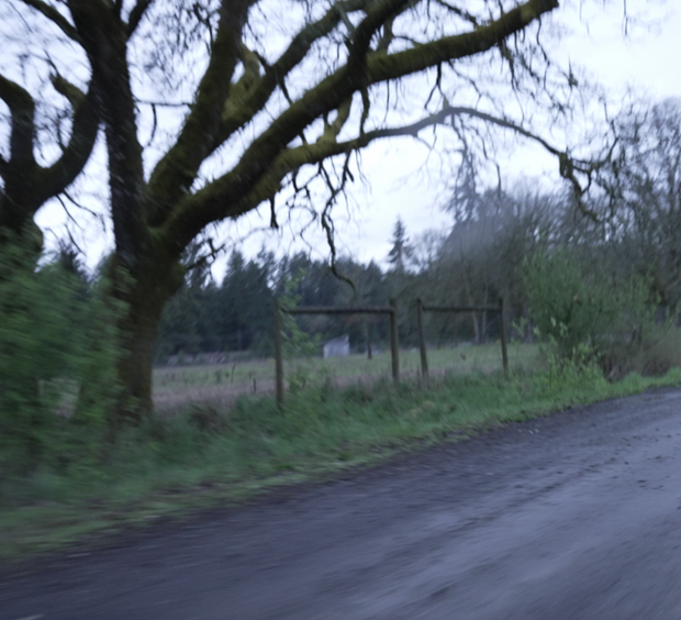 S4 Join James on a Drive to the Barton Property - Images
