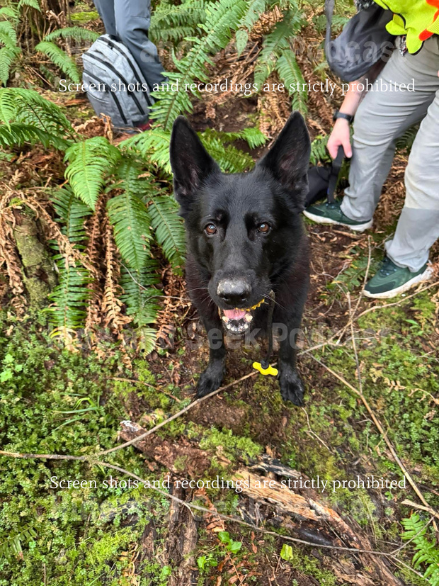 S4 Search Efforts Underway