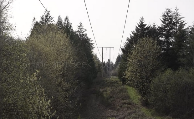 S4 We searched by side by side - Images